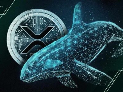 فروش ۲۸۰ میلیون XRP توسط نهنگ‌ها در یک هفته؛ آیا حمایت ۲ دلاری حفظ می‌شود؟