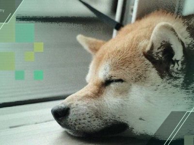 موج فروش سنگین دوج‌ کوین معامله‌گران را شوکه کرد!