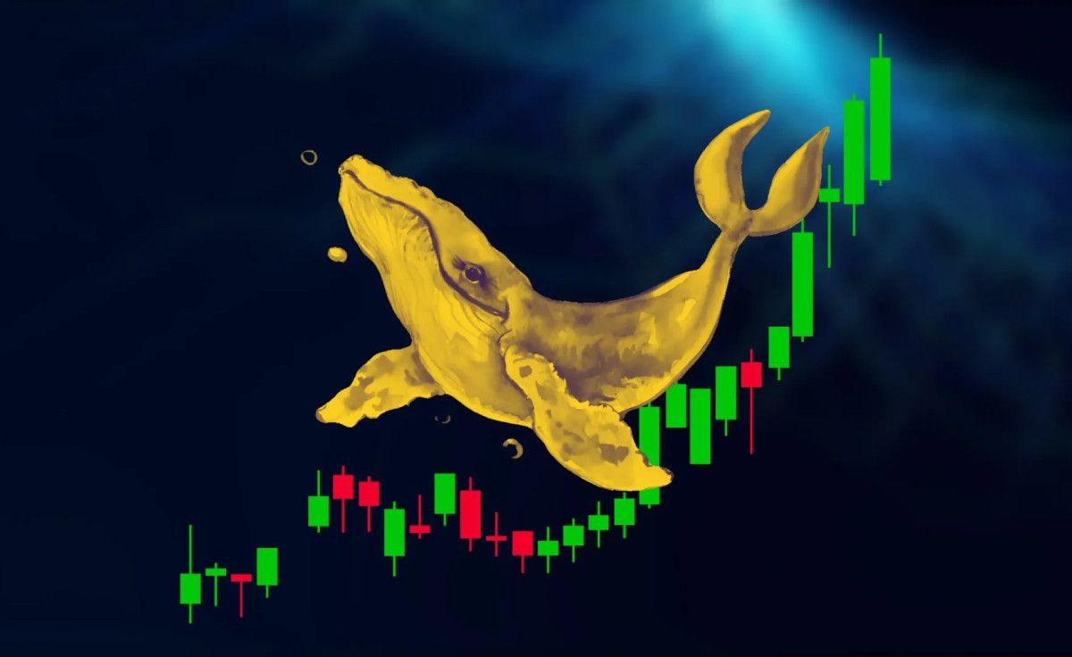 رشد ۷۸ درصدی قیمت توکن ترامپ در یک ماه اخیر با افزایش خرید نهنگ‌ها