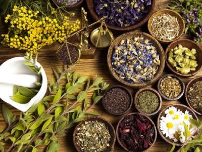 مصرف خودسرانه فرآورده‌های گیاهی خطرناک است 