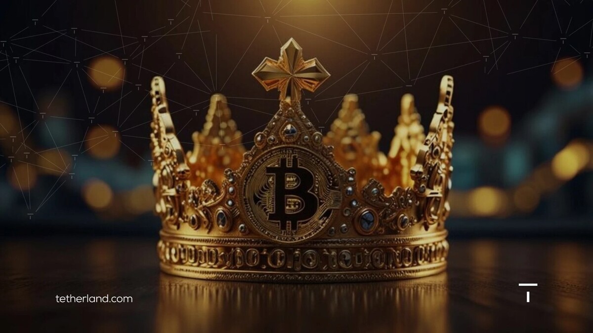 چه عواملی باعث نوسان پادشاه رمزارزها می شوند؟