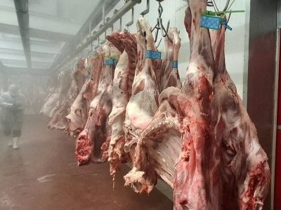 افزایش هزینه بسته‌بندی گوشت چقدر روی قیمت اثر دارد؟ / دبیر انجمن تولید و بسته‌بندی گوشت توضیح داد