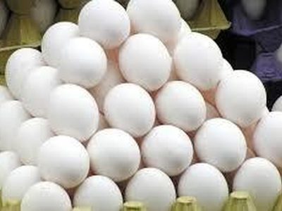 قیمت تخم‌مرغ دوباره گران شد / اعلام نرخ جدید هر شانه در بنکداری‌ها